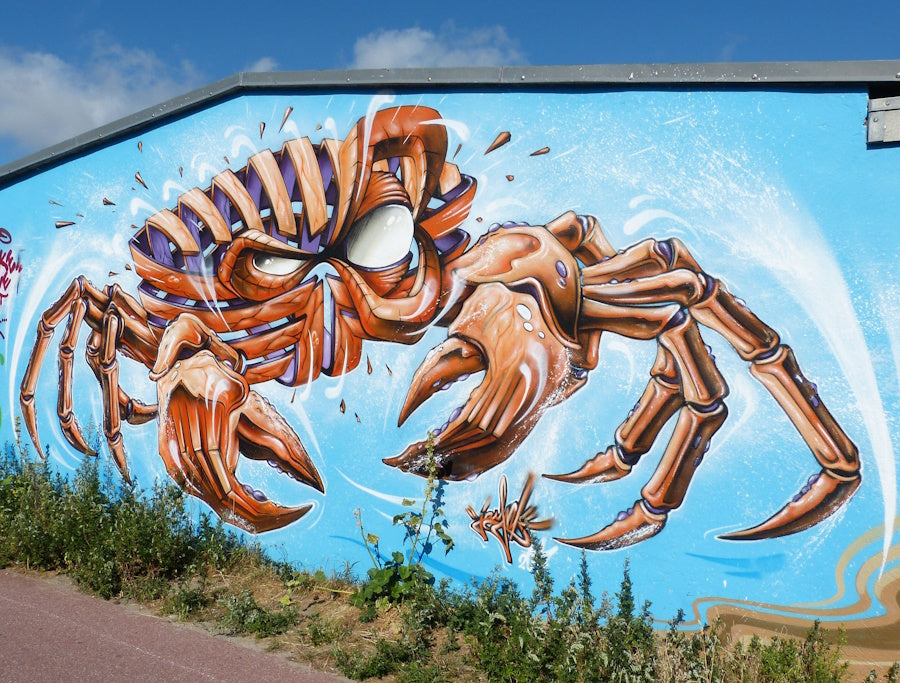 Vopsea spray pentru graffiti: ce trebuie să știi înainte să începi