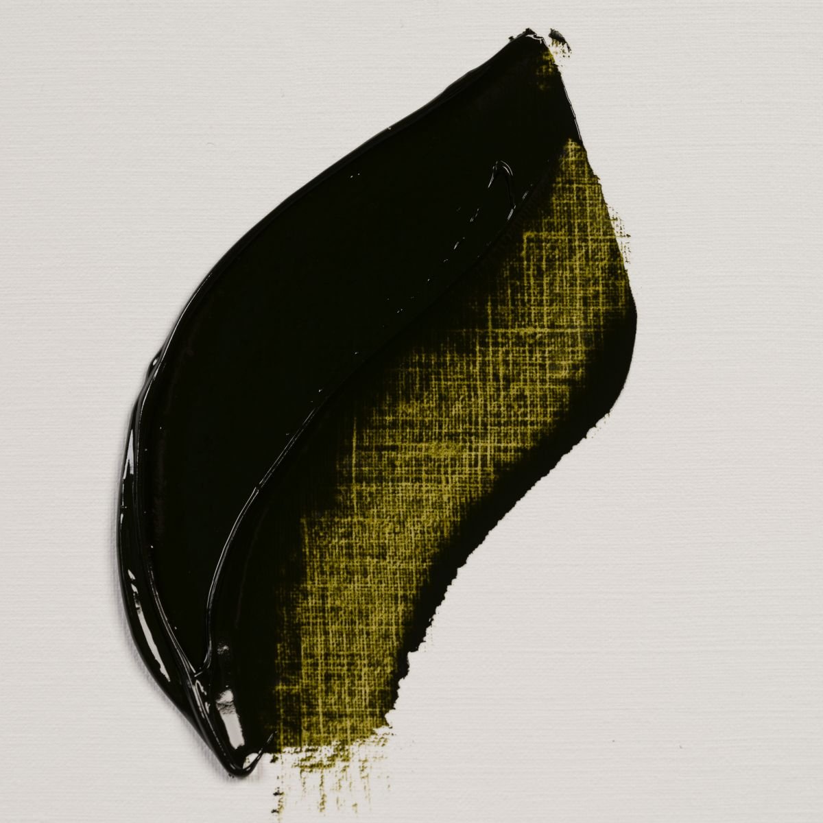 Culori ulei Rembrandt Artists' Oil