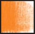 Pastel uscat Toison D'Or
