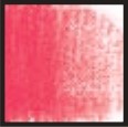 Pastel uscat Toison D'Or