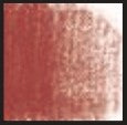 Pastel uscat Toison D'Or