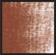 Pastel uscat Toison D'Or
