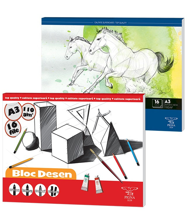 Bloc desen A3 110g 16 file Pigna
