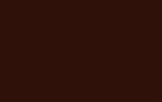 Spray vopsea MTN 94 Ebony Brown 400ml - din categoria , recomandat pentru desen si activitati creative, calitate premium pentru rezultate excelente
