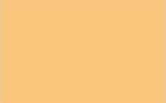 Spray vopsea MTN 94 Plural Orange 400ml - din categoria , recomandat pentru desen si activitati creative, calitate premium pentru rezultate excelente