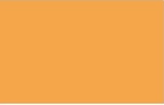 Spray vopsea MTN 94 Tangerine 400ml - din categoria , excelent pentru proiecte artistice si craft, calitate premium pentru rezultate excelente