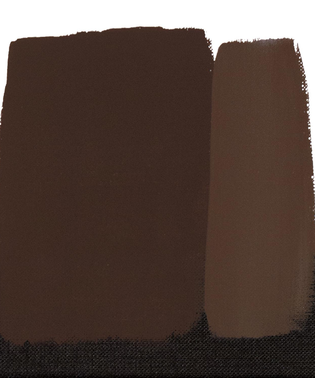 Acrilice vinilice Polycolor Maimeri 20ml