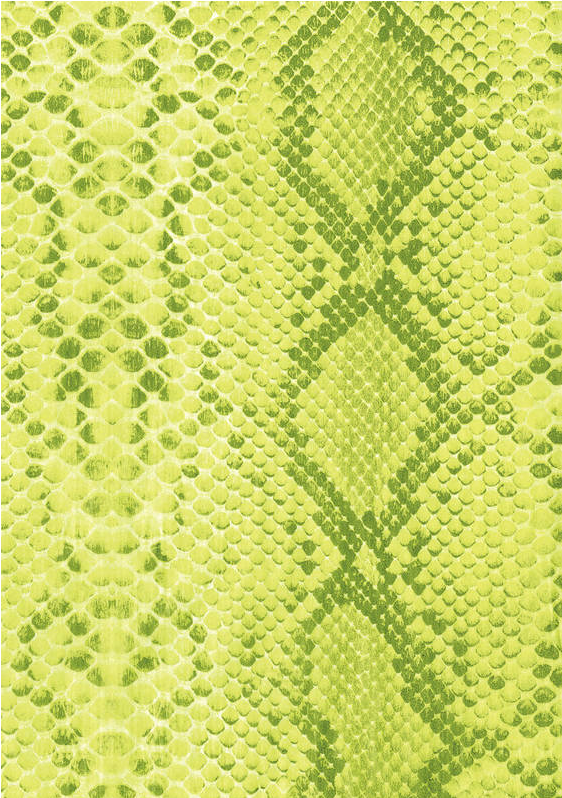 Acuarella - culori acrilice, accesorii papetarie, pensule, carioci si markere etc - Hartie decorativa Green snake skin Decopatch din categoria Arts & Entertainment > Hobbies & Creative Arts > Arts & Crafts > Art & Crafting Materials > Art & Craft Paper > Cardstock & Scrapbooking Paper > Scrapbooking Paper, excelent pentru proiecte artistice si craft, pret avantajos in magazin online