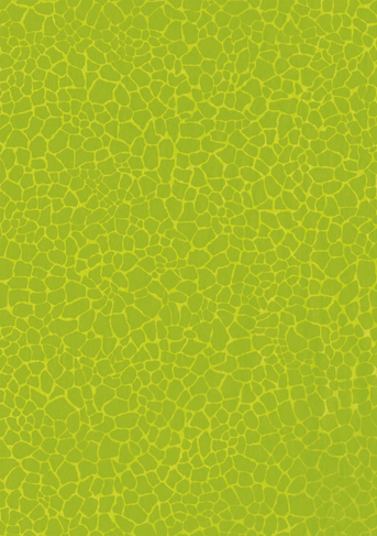 Acuarella - culori acrilice, accesorii papetarie, pensule, carioci si markere etc - Hartie decorativa Green giraffe motif Decopatch din categoria Arts & Entertainment > Hobbies & Creative Arts > Arts & Crafts > Art & Crafting Materials > Art & Craft Paper > Cardstock & Scrapbooking Paper > Scrapbooking Paper, util pentru elevi, studenti si profesori, pret avantajos in magazin online