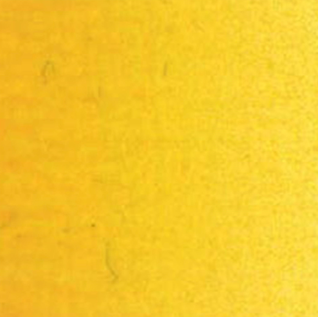 Culori ulei Van Gogh