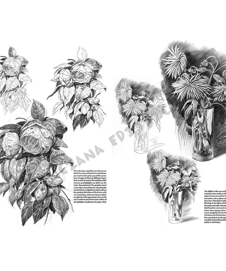 Manual Leonardo "Flowers" limba engleza vol. 22