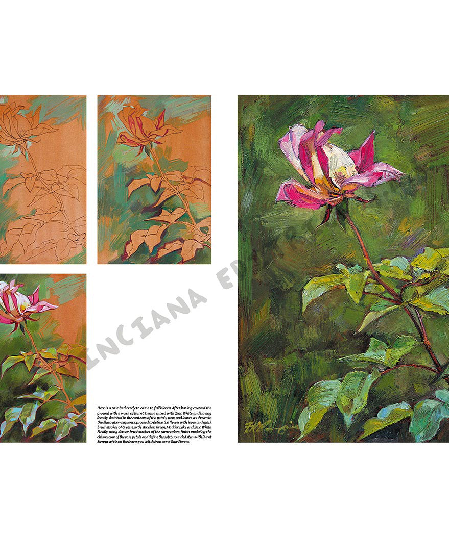 Manual Leonardo "Flowers" limba engleza vol. 22