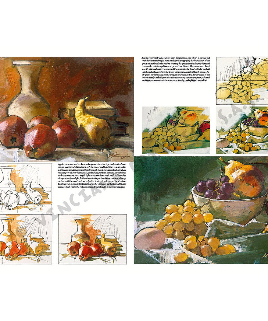 Manual Leonardo "Still Life" limba engleza vol. 25
