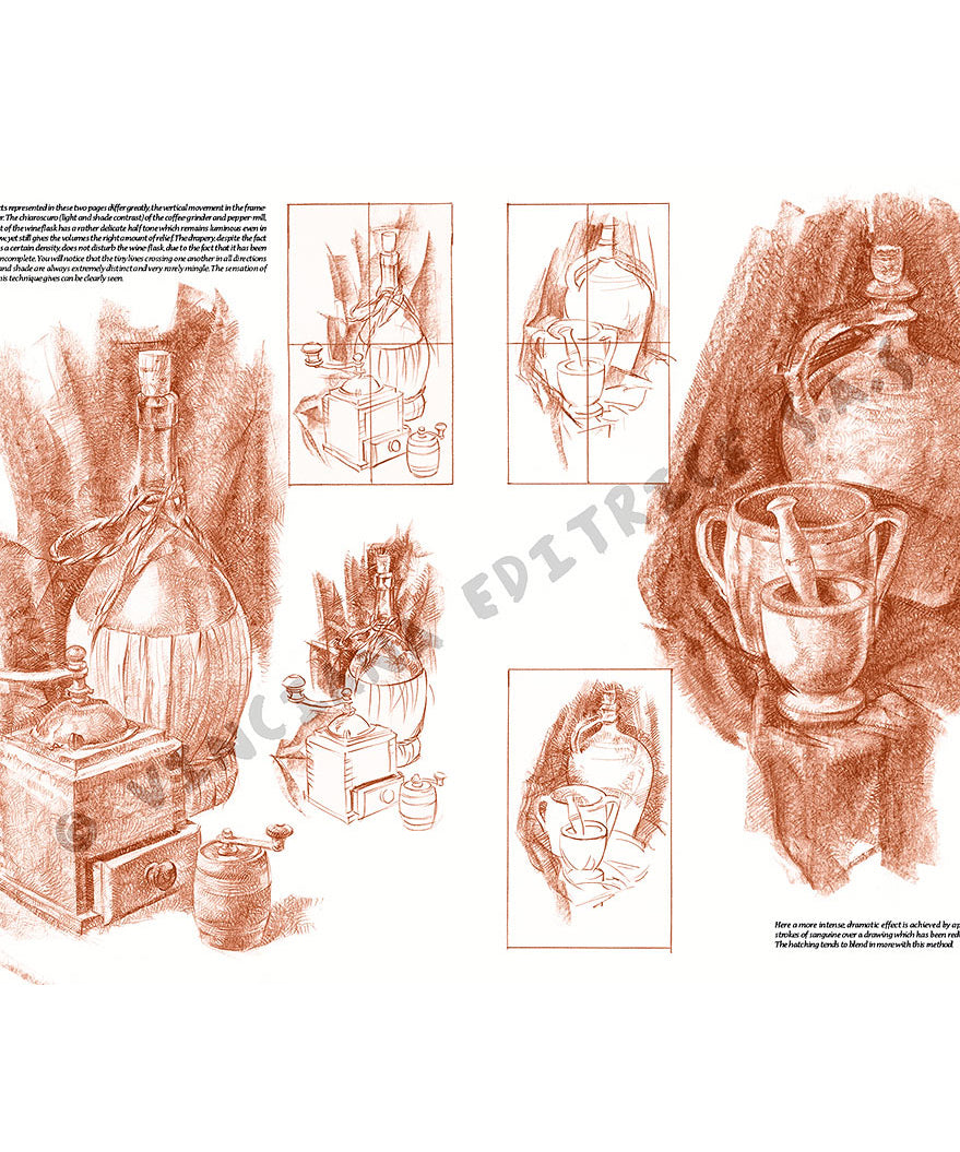 Manual Leonardo "Still Life" limba engleza vol. 25
