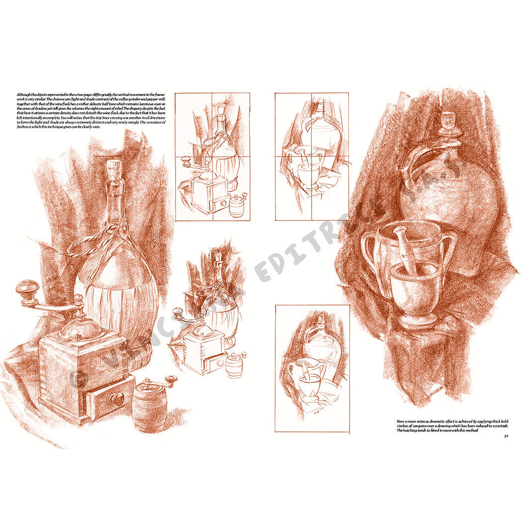 Manual Leonardo "Still Life" limba engleza vol. 25