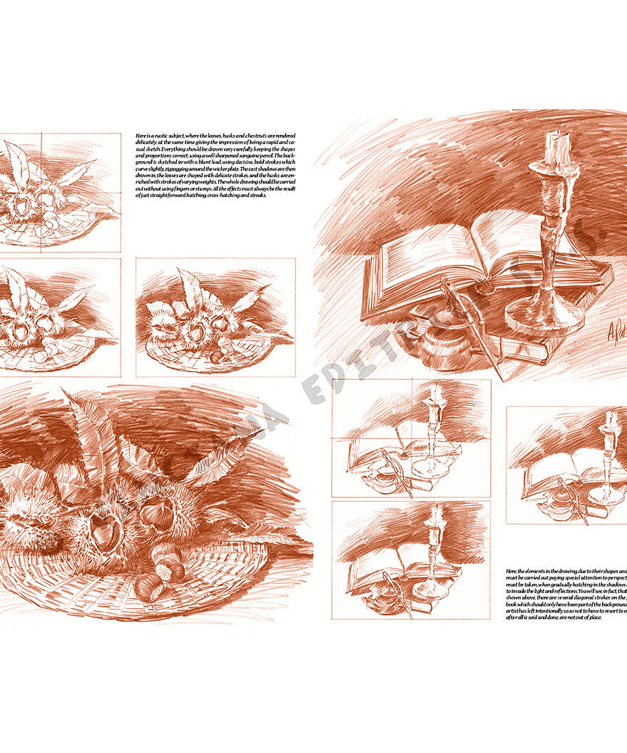 Manual Leonardo "Still Life" limba engleza vol. 25