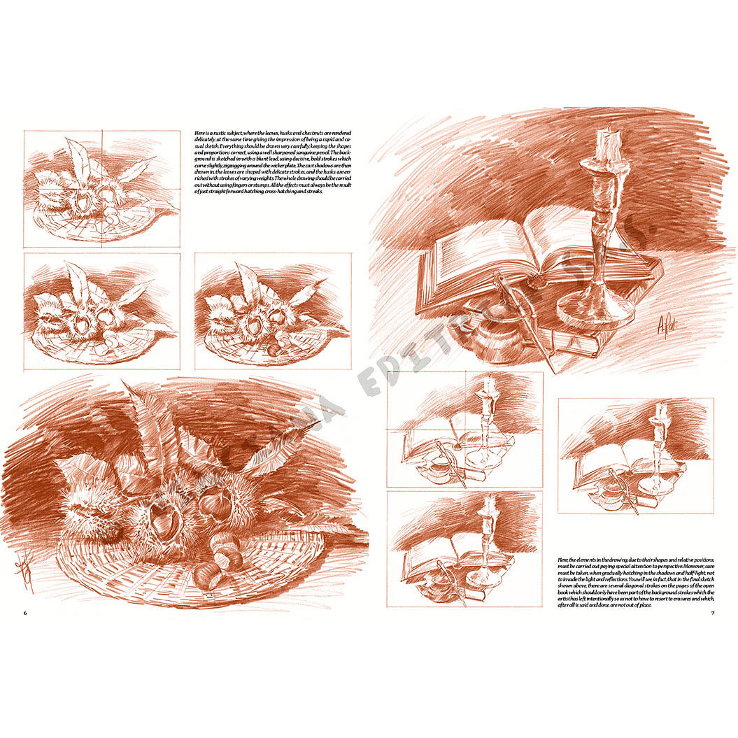 Manual Leonardo "Still Life" limba engleza vol. 25