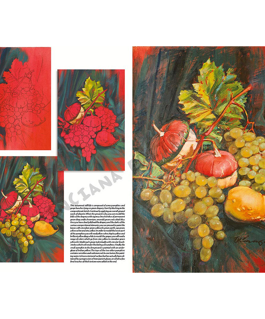 Manual Leonardo "Still Life" limba engleza vol. 25