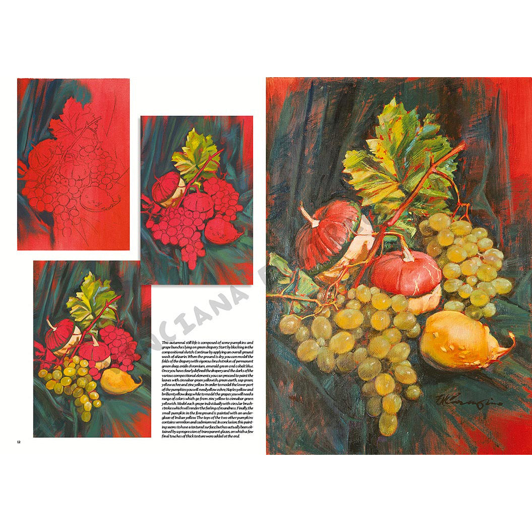 Manual Leonardo "Still Life" limba engleza vol. 25