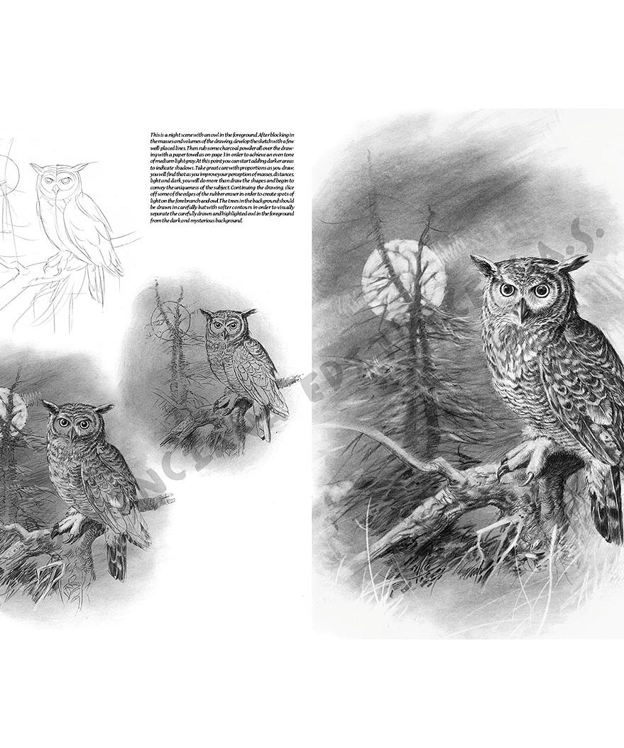 Manual Leonardo "Birds" limba engleza vol. 28