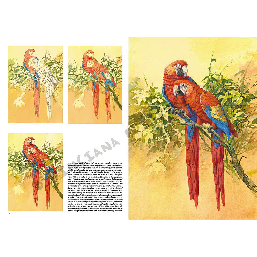 Manual Leonardo "Birds" limba engleza vol. 28