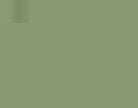 Marker acuarelabil Tombow Dual Brush - Dark Jade - din categoria , recomandat pentru desen si activitati creative, disponibil online cu livrare rapida