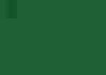 Marker acuarelabil Tombow Dual Brush - Sap Green - din categoria , ideal pentru scoala si teme zilnice, alegere inspirata pentru papetarie moderna