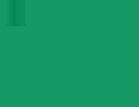Marker acuarelabil Tombow Dual Brush - Dark Green - din categoria , ideal pentru scoala si teme zilnice, calitate premium pentru rezultate excelente