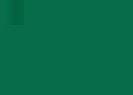 Marker acuarelabil Tombow Dual Brush - Holly Green - din categoria , util pentru elevi, studenti si profesori, disponibil online cu livrare rapida