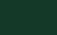 MTN Color Paint spray 400ml