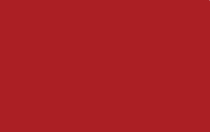 MTN Color Paint spray 400ml