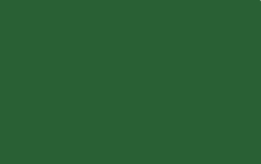 MTN Color Paint spray 400ml