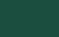 MTN Color Paint spray 400ml