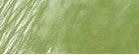 Creioane colorate Faber Castell Polychromos - earth green - din categoria , util pentru elevi, studenti si profesori, alegere inspirata pentru papetarie moderna