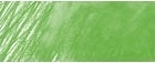 Creioane colorate Faber Castell Polychromos - olive green yellowish - din categoria , ideal pentru scoala si teme zilnice, alegere inspirata pentru papetarie moderna