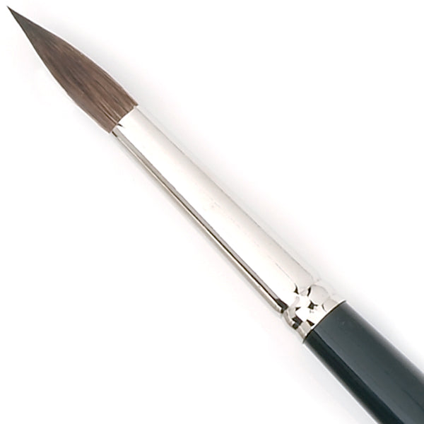 Pensule par veverita Tintoretto 100