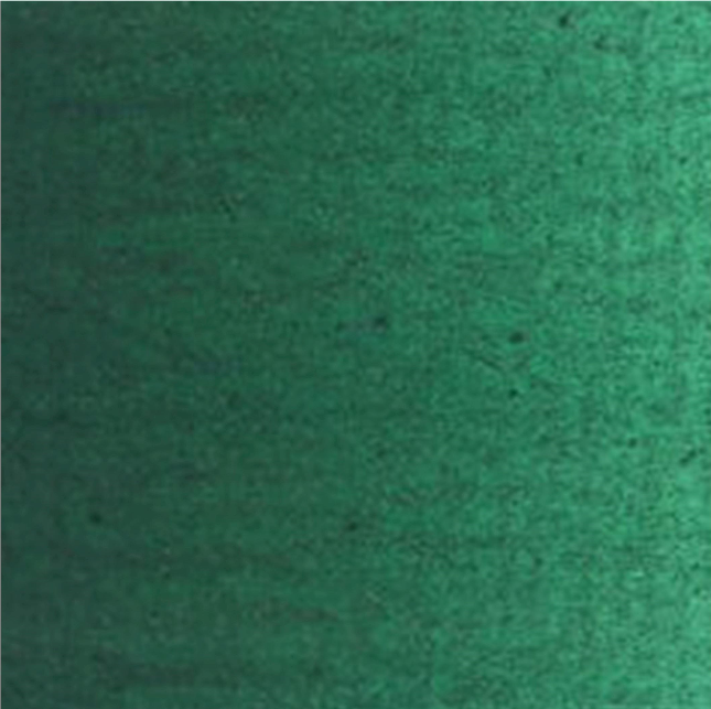 Culori ulei Van Gogh - Phthalo green 200ml - din categoria , excelent pentru proiecte artistice si craft, calitate premium pentru rezultate excelente