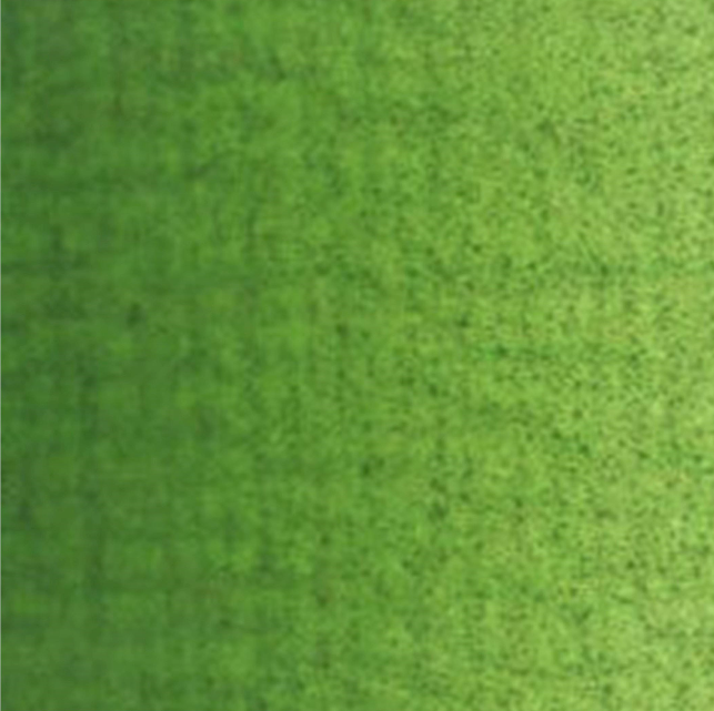 Culori ulei Van Gogh - Olive green 40ml - din categoria , perfect pentru birou si organizare eficienta, calitate premium pentru rezultate excelente