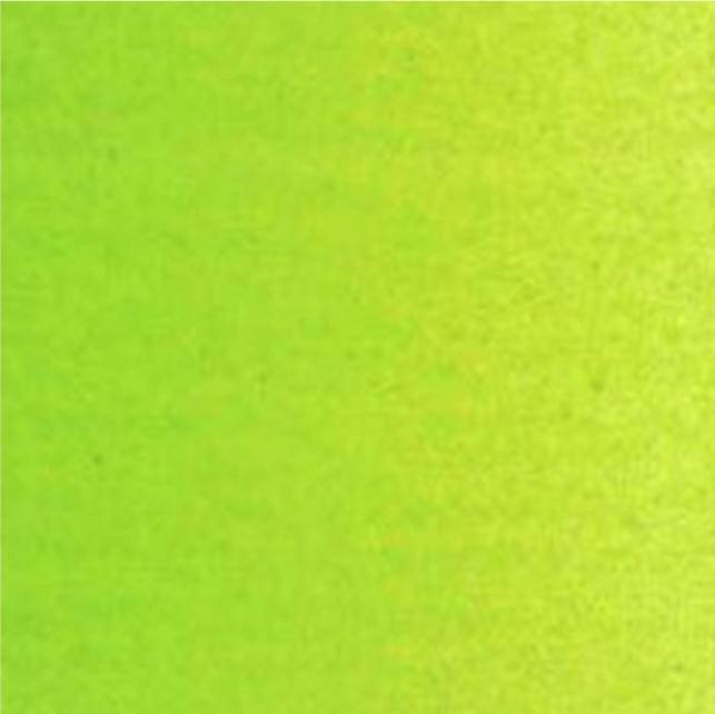 Culori ulei Van Gogh - Yellowish green 200ml - din categoria , util pentru elevi, studenti si profesori, alegere inspirata pentru papetarie moderna