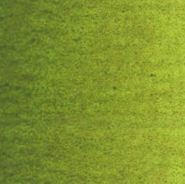 Culori ulei Van Gogh - Fir green 40ml - din categoria , ideal pentru scoala si teme zilnice, disponibil online cu livrare rapida