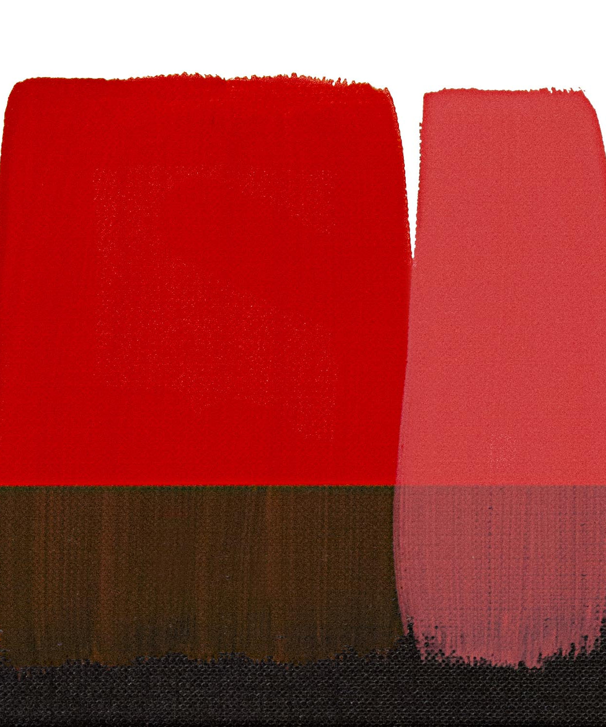Acrilice vinilice Polycolor Maimeri 20ml