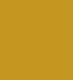 Culori acrilice Van Gogh