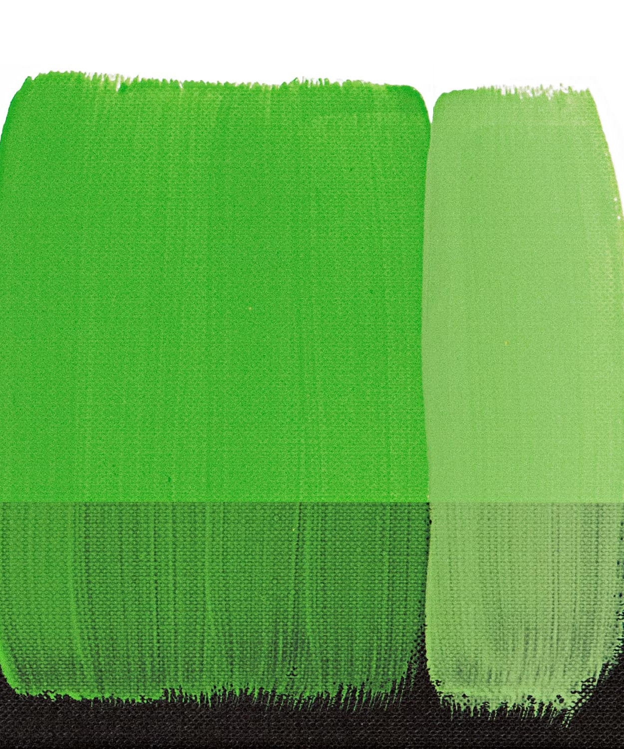 Acrilice vinilice Polycolor Maimeri 20ml
