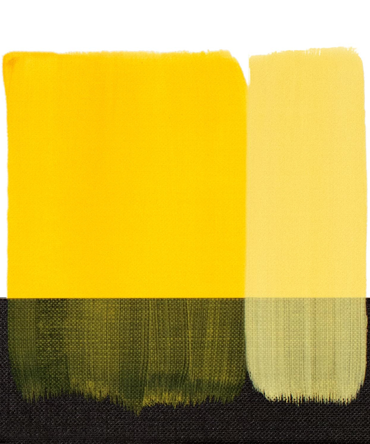 Culori ulei Maimeri Classico 60ml - Primary Yellow 116 -  din categoria , excelent pentru proiecte artistice si craft, disponibil online cu livrare rapida