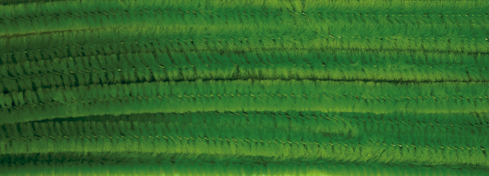 Sarma plusata Chenille diverse culori 8 mm x 50 cm set 10 buc