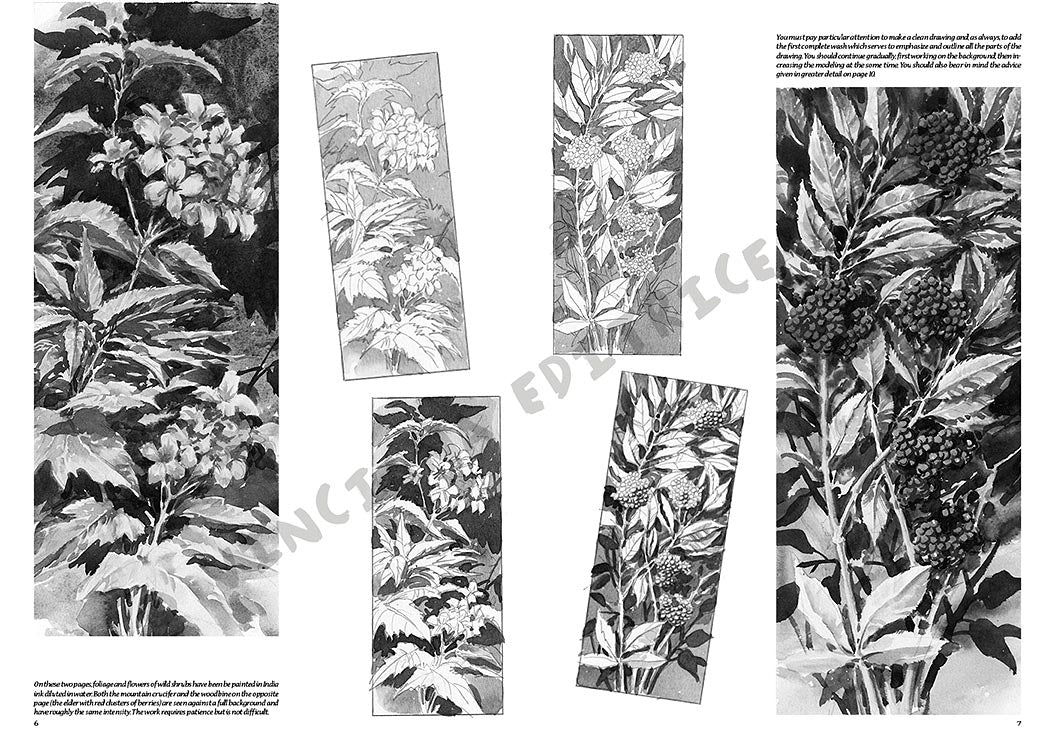 Manual Leonardo Flori lb.engleză vol. 20