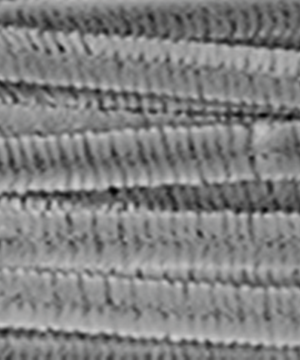 Sarma plusata Chenille diverse culori 8 mm x 50 cm set 10 buc