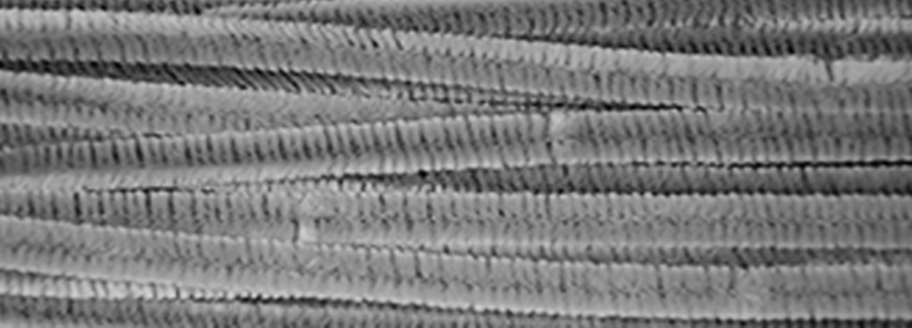 Sarma plusata Chenille diverse culori 8 mm x 50 cm set 10 buc