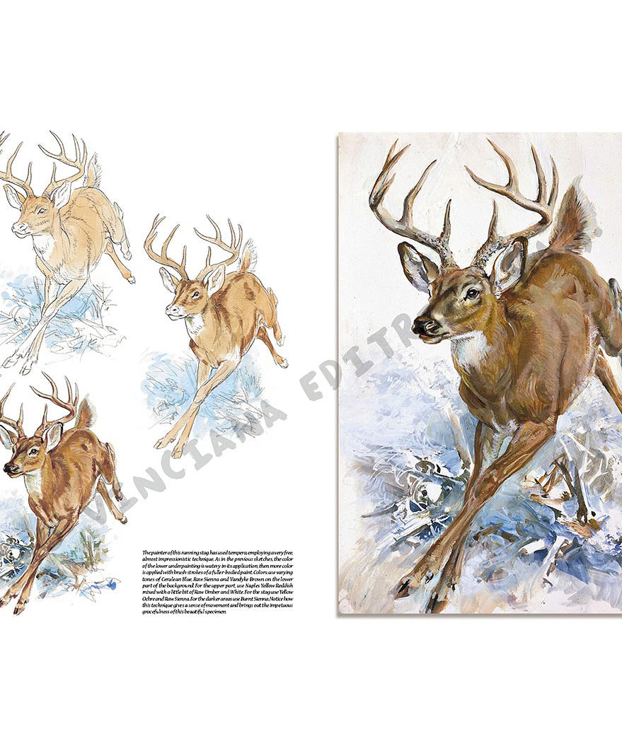 -  din categoria , excelent pentru proiecte artistice si craft, disponibil online cu livrare rapida