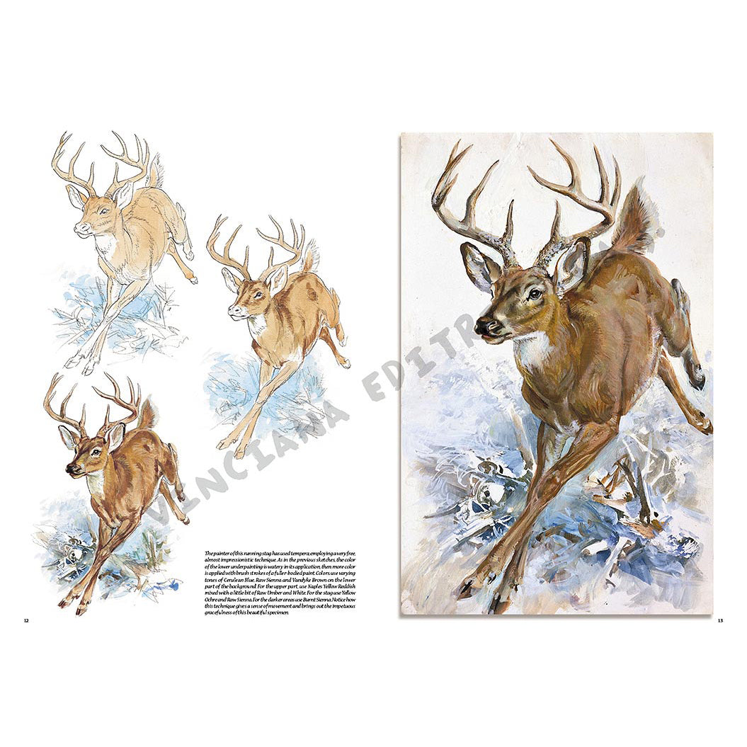 -  din categoria , excelent pentru proiecte artistice si craft, disponibil online cu livrare rapida